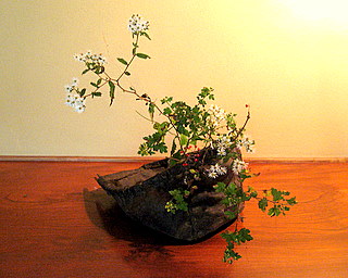 f0173150_23104437.jpg
