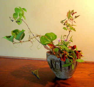f0173150_2311163.jpg