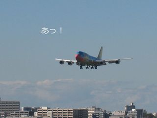 a0090451_231014.jpg