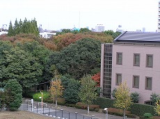 b0145863_19182583.jpg