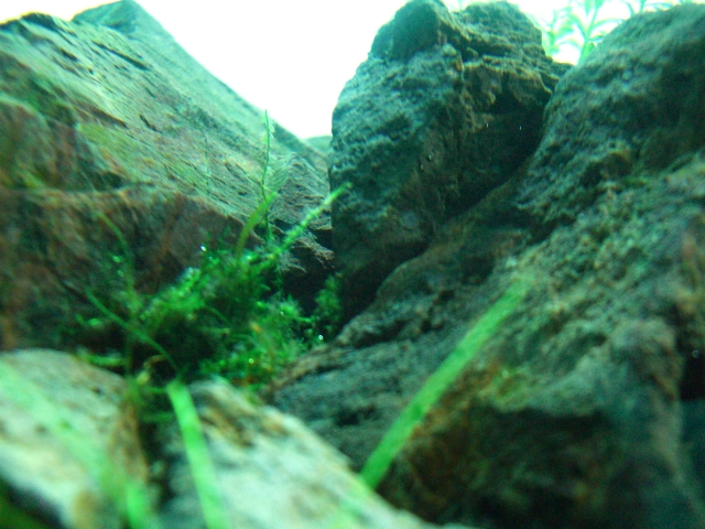 b0150868_163768.jpg