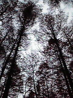 c0144868_170169.jpg