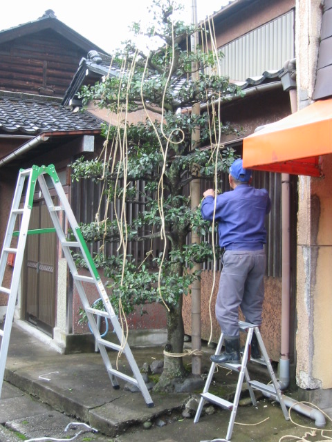 d0094868_10454428.jpg