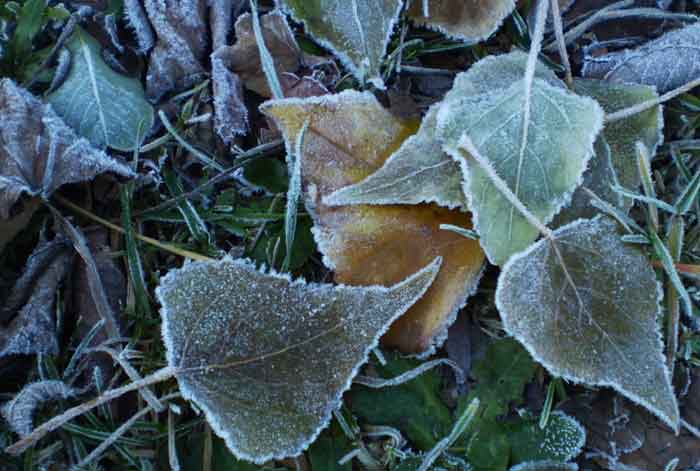 a0074469_21223983.jpg