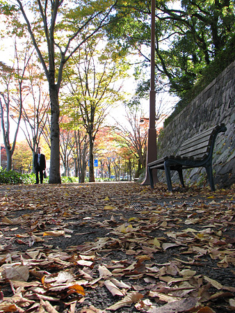 c0104371_1025133.jpg