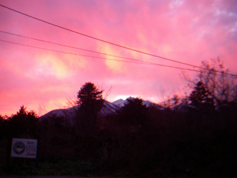 f0182173_1093149.jpg