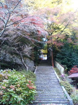 f0054677_940468.jpg