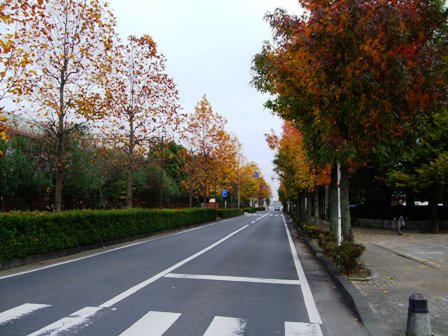 c0078480_22302820.jpg