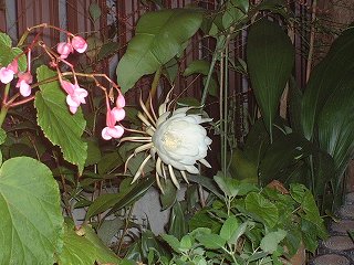 f0052082_22405585.jpg