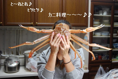 c0092787_18291299.jpg