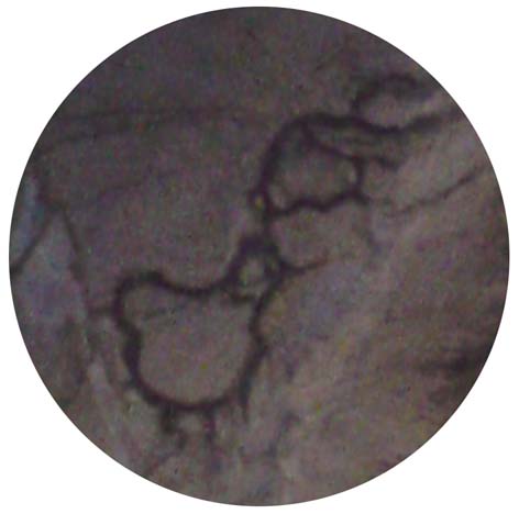 d0148087_14465249.jpg