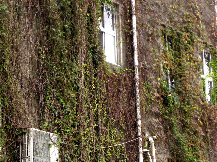 f0164989_23335535.jpg