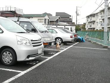 c0123890_20123643.jpg