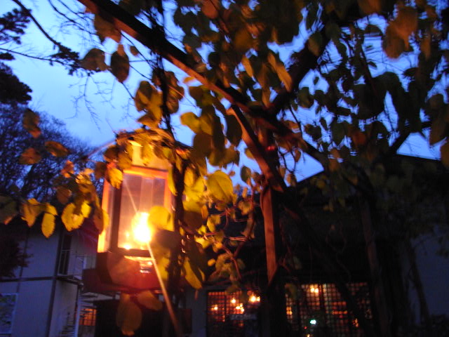 b0149098_138285.jpg