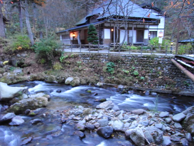 b0149098_158473.jpg