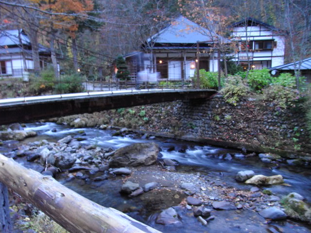 b0149098_1595562.jpg