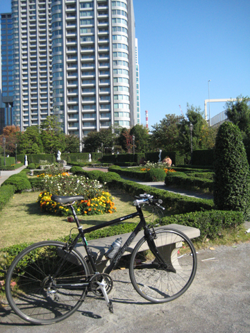 b0097200_147397.jpg