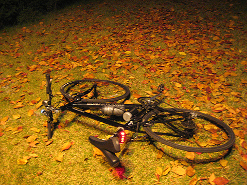b0097200_22484959.jpg