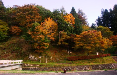 e0007801_16525174.jpg