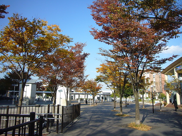 b0114403_1718866.jpg