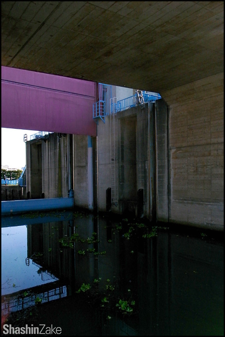 c0102003_17545016.jpg