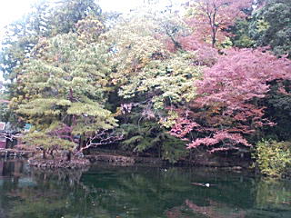 f0164503_11192773.jpg