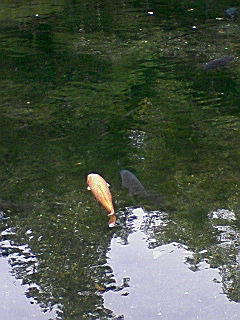 f0164503_11201073.jpg
