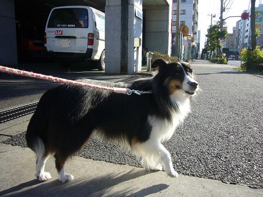 e0130008_18403494.jpg