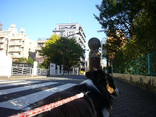 e0130008_18422149.jpg