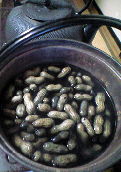 f0135908_763684.jpg