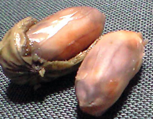 f0135908_765060.jpg