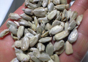 f0135908_793842.jpg