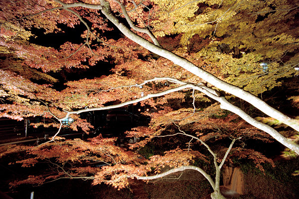 c0028713_2321677.jpg