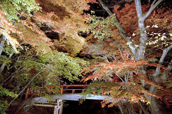 c0028713_232470.jpg