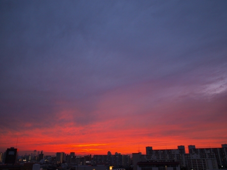d0114517_165770.jpg