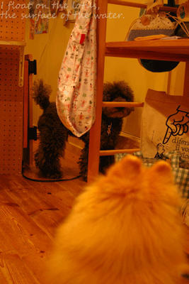 b0075318_19172211.gif