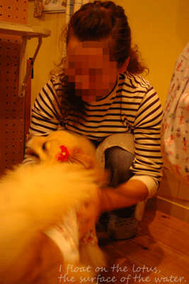 b0075318_19192082.gif