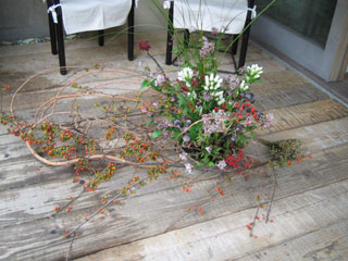 c0103119_1557384.jpg