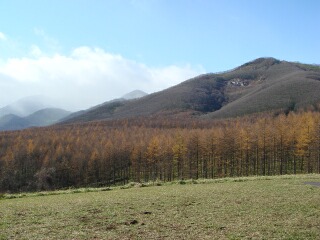 f0181524_15214454.jpg