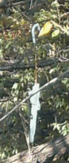 c0152126_0494990.jpg