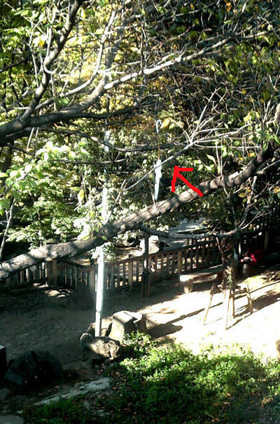 c0152126_173440.jpg