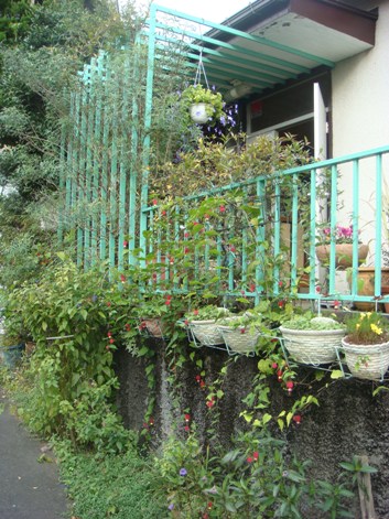 f0042726_12452264.jpg