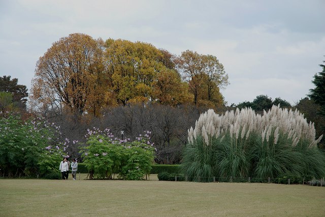 c0027027_1543749.jpg