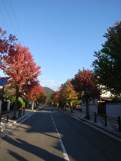 d0105133_22273058.jpg