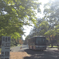 d0033734_1544249.gif