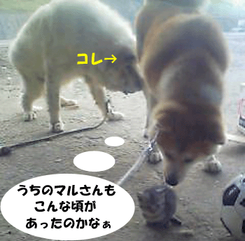 f0008935_12443671.gif