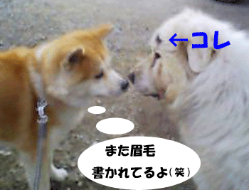 f0008935_12451536.gif