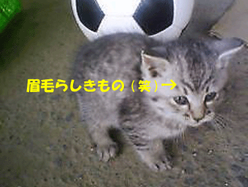 f0008935_12472121.gif