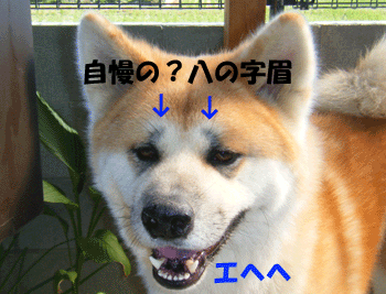 f0008935_12483417.gif