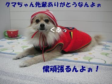 c0179136_22105536.jpg